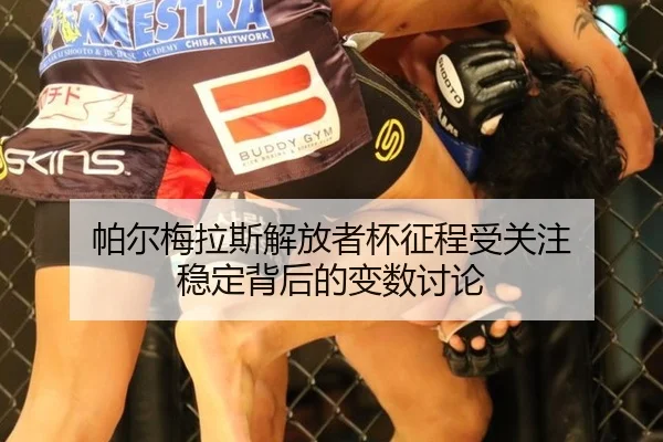帕尔梅拉斯解放者杯征程受关注 稳定背后的变数讨论